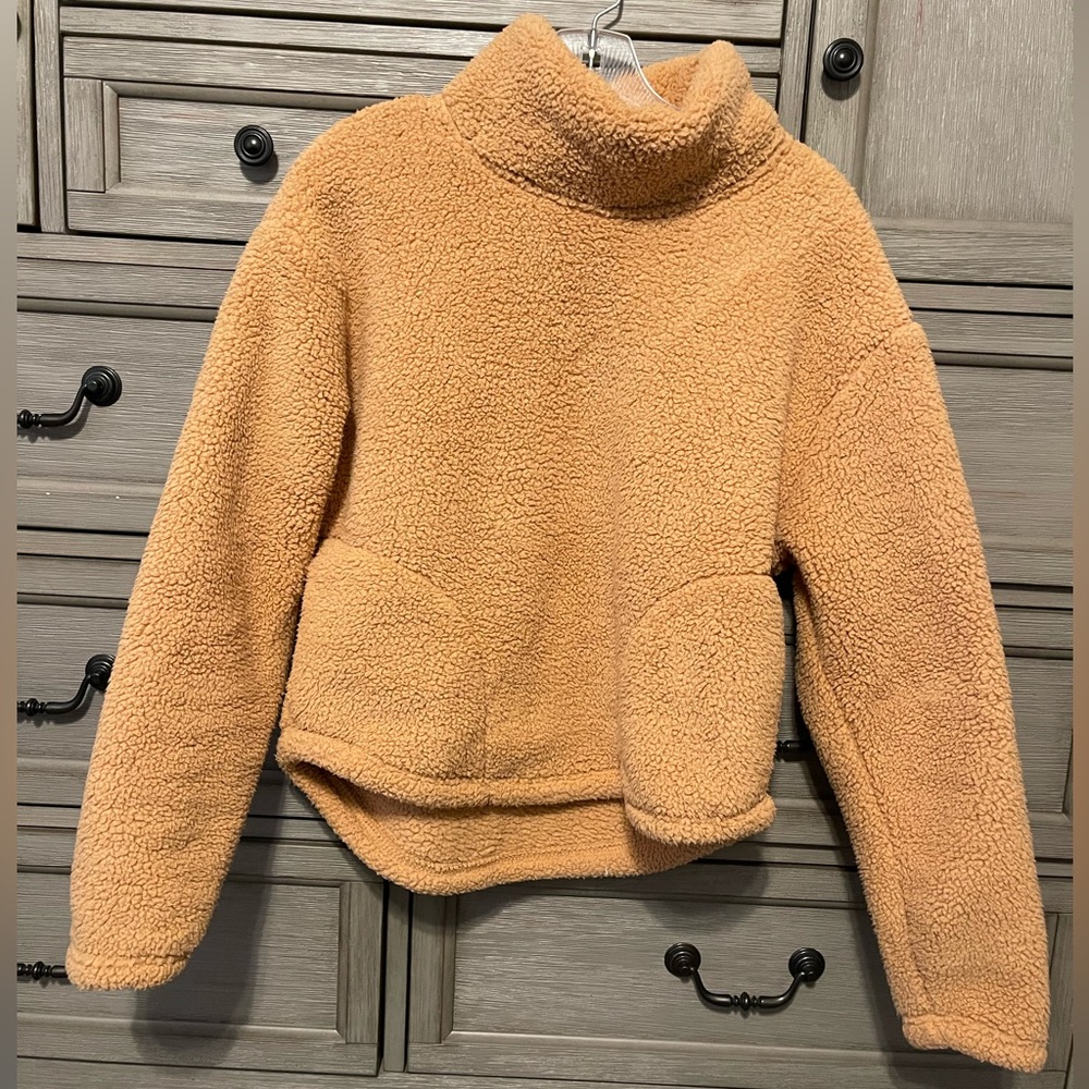 Teddy sweatshirt.